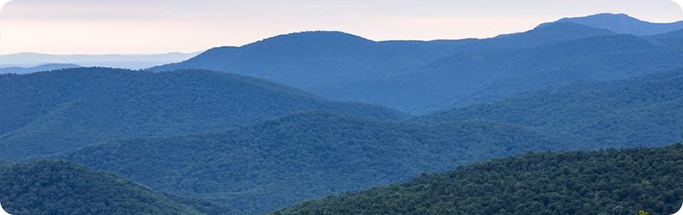 Scenic view of rolling blue-green mountains under a soft, cloudy sky in the Blue Ridge region.